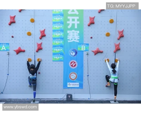 杭州攀岩队个人能力分析与表现评估的深入研究与探讨